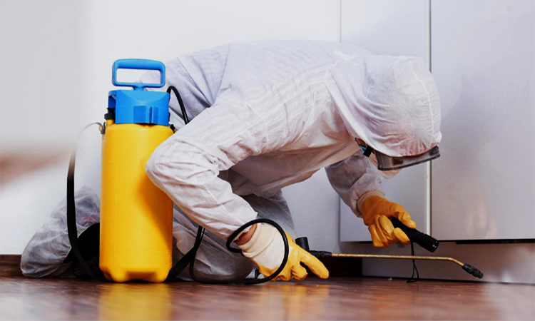 شركة رش مبيدات بالرياض