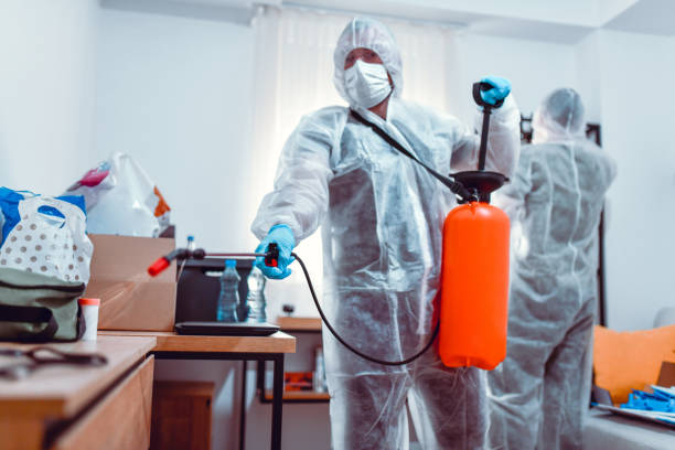 شركة مكافحة حشرات بأبها